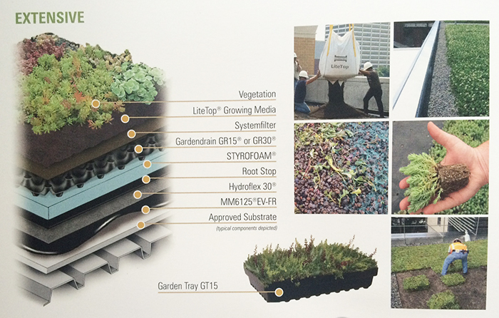 Extensive Green Roof Design Challenges For Extensive Green Roof Design